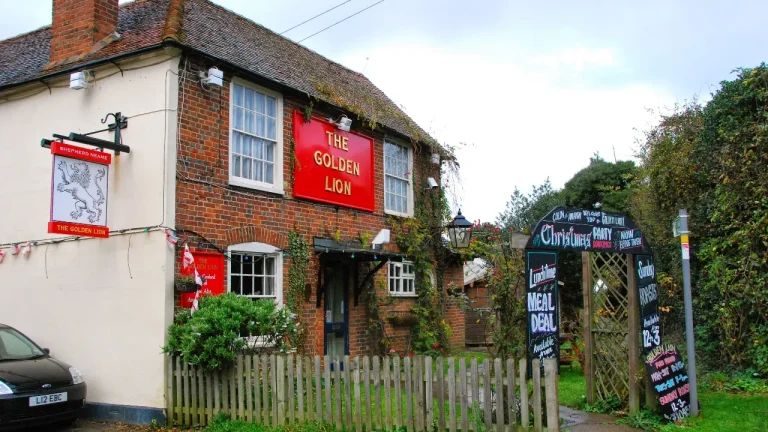 Golden Lion, Canterbury (Broadoak)-007