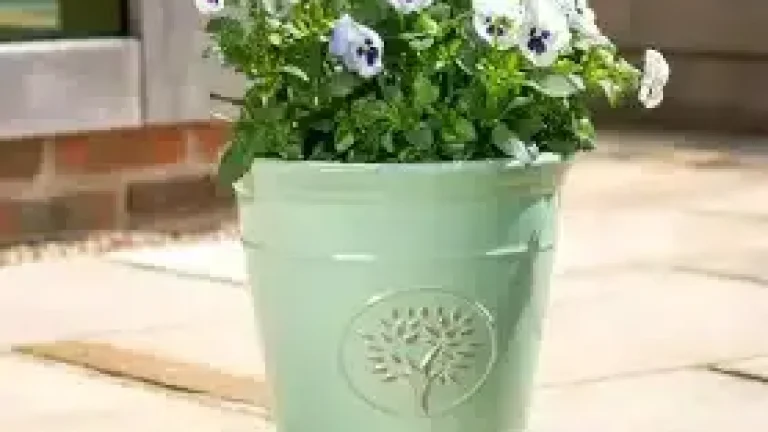 planter