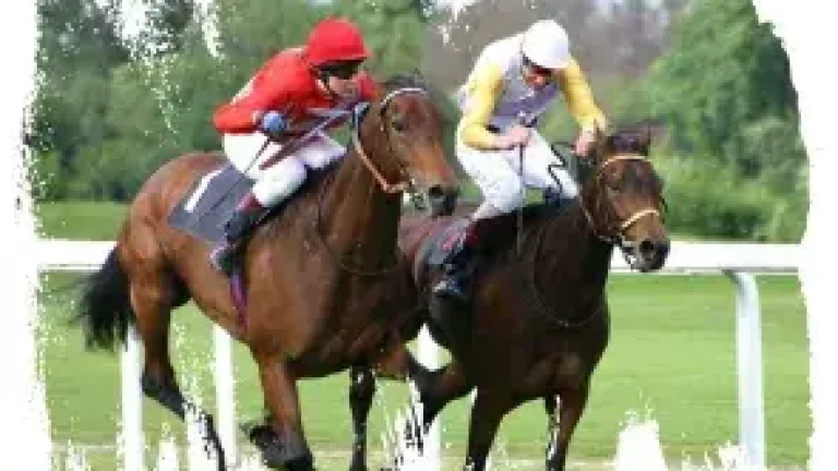 race night